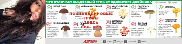 стафф Надым