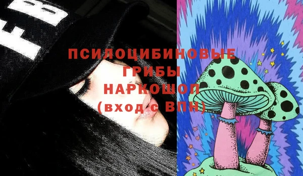 стафф Надым