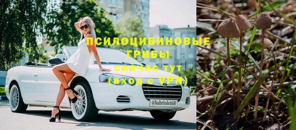 стафф Надым