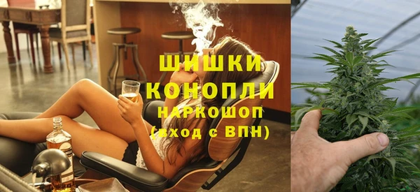 PSILOCYBIN Навашино