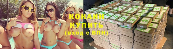 PSILOCYBIN Навашино