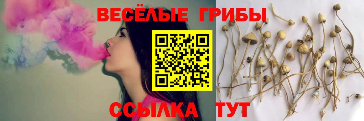 Псилоцибиновые грибы Magic Shrooms Владимир