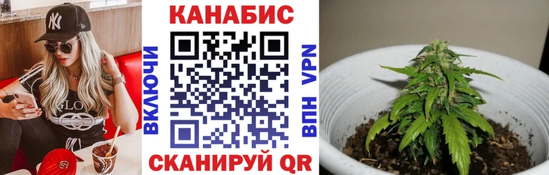 как найти закладки  Владимир  Бошки марихуана ГИДРОПОН 